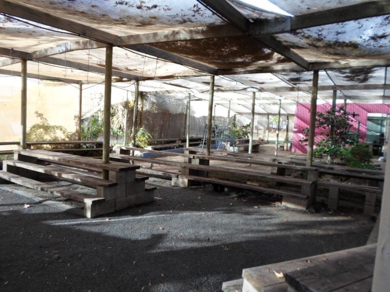 166 Arthur Street, Wellington NSW 2820