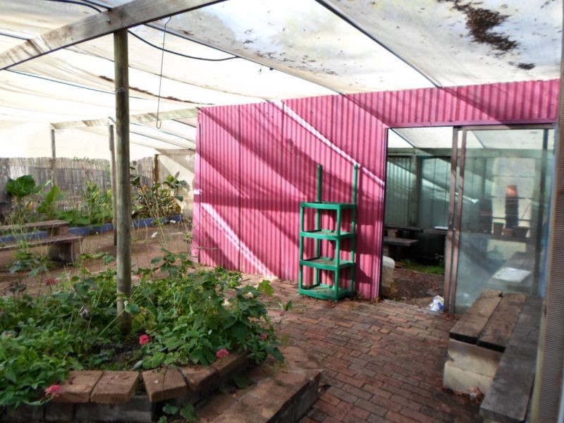 166 Arthur Street, Wellington NSW 2820
