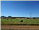 7430 Kurrali, Wellington NSW 2820