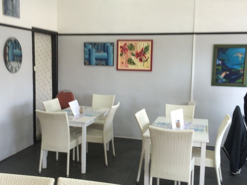 94 Lee Street – 21 Teapsoons, Wellington NSW 2820