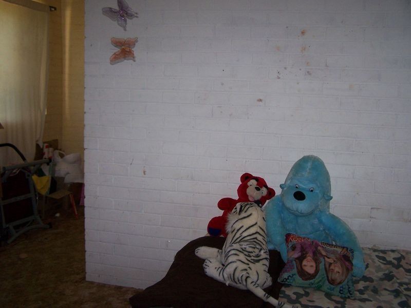 7 McLeod Street, Wellington NSW 2820