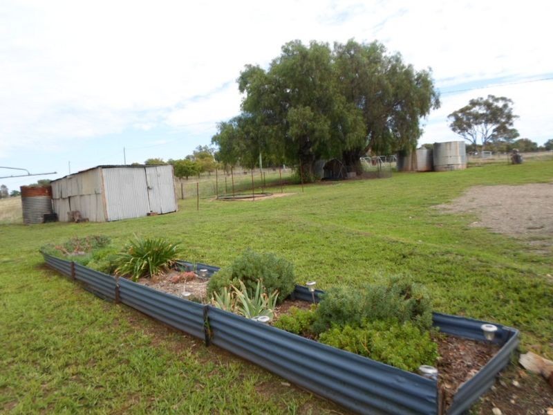 9 Spicers Street, Bodangora NSW 2820