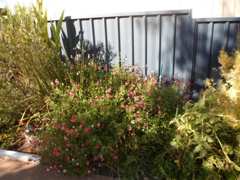 3 Percy Street, Wellington NSW 2820