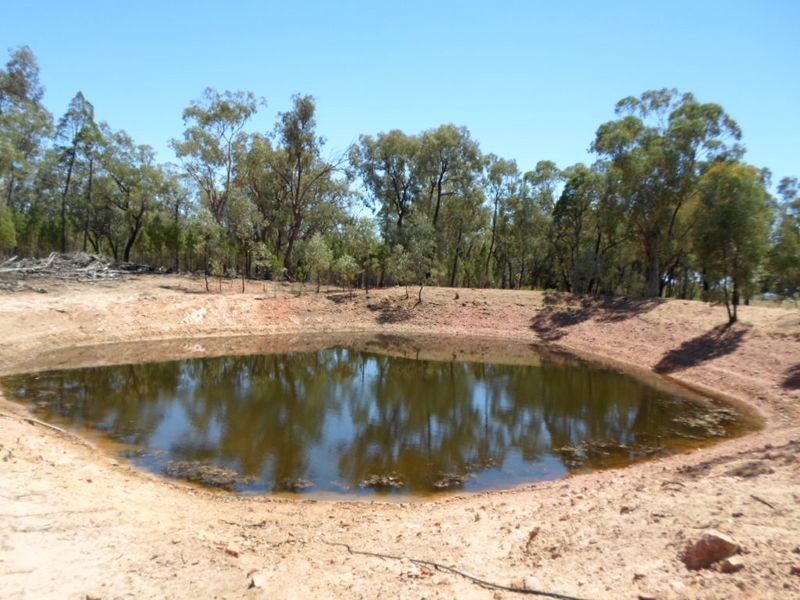 678 Blathery Creek Road, Neurea NSW 2820