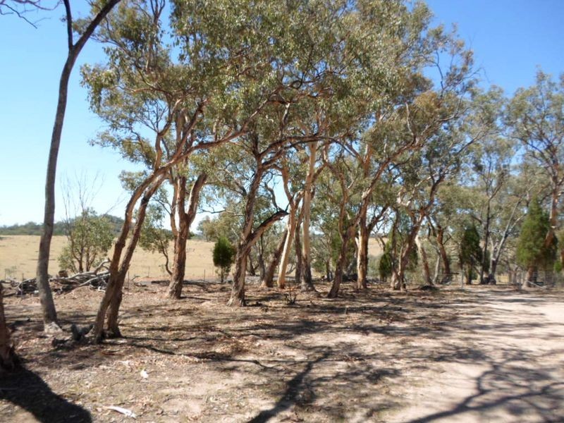 678 Blathery Creek Road, Neurea NSW 2820