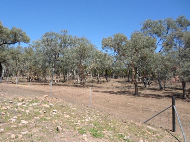 678 Blathery Creek Road, Neurea NSW 2820