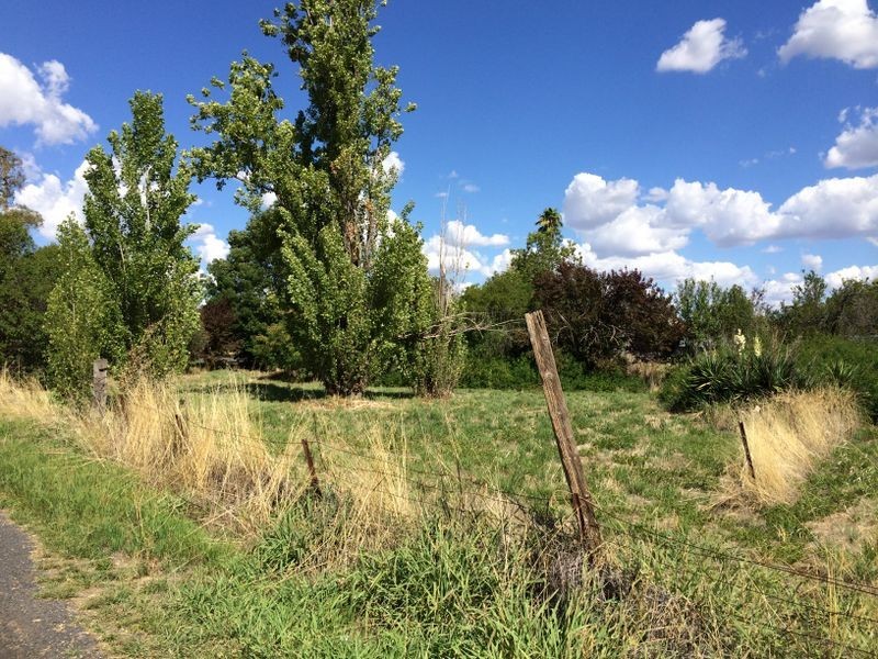 5 Cross Street, Wellington NSW 2820