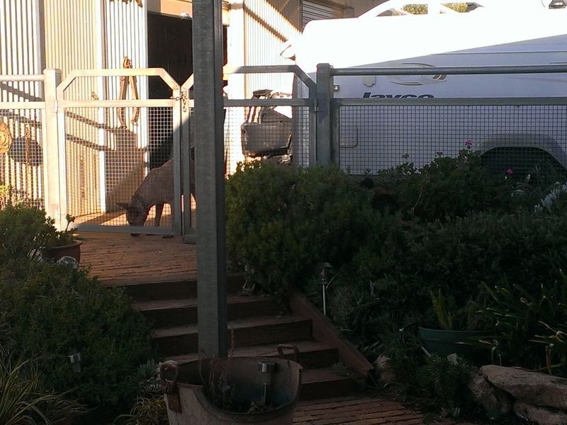 Lot 663 Ponto Falls Road, Maryvale NSW 2820