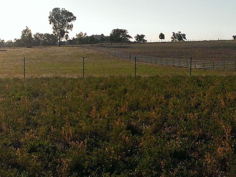 Lot 663 Ponto Falls Road, Maryvale NSW 2820