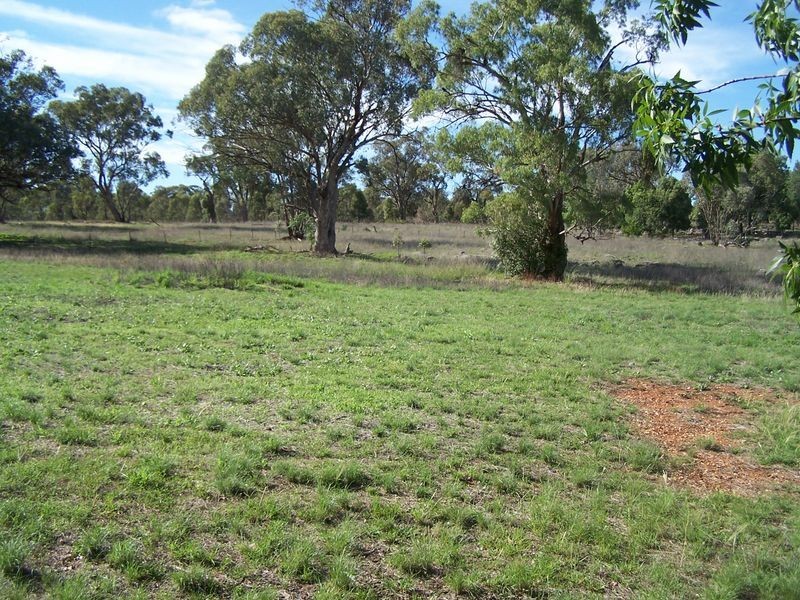 83 Caves Road, Wellington NSW 2820