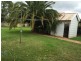 45 Maxwell Street, Wellington NSW 2820