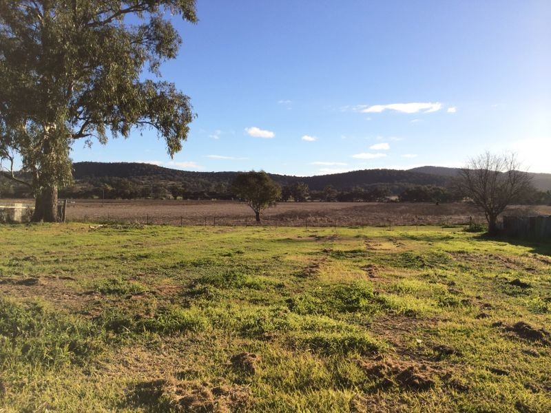 121 Curtis Street, Wellington NSW 2820