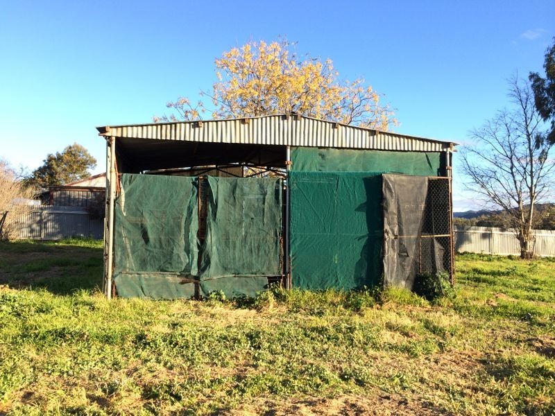 121 Curtis Street, Wellington NSW 2820