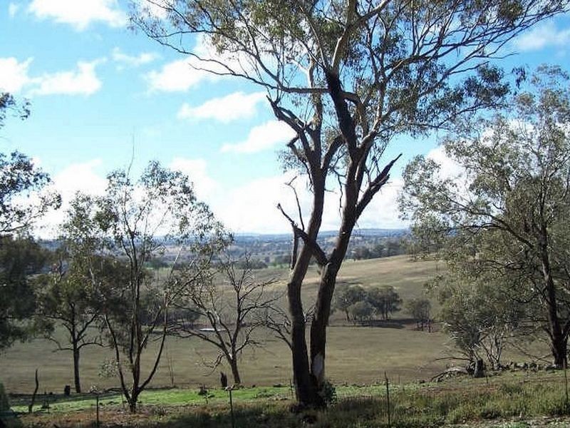 Emu Hills 274 Woodside Lane Neurea via, Wellington NSW 2820