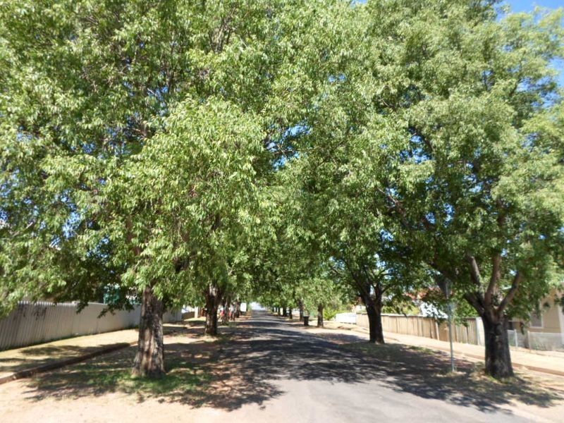 80 Pierce Street, Wellington NSW 2820