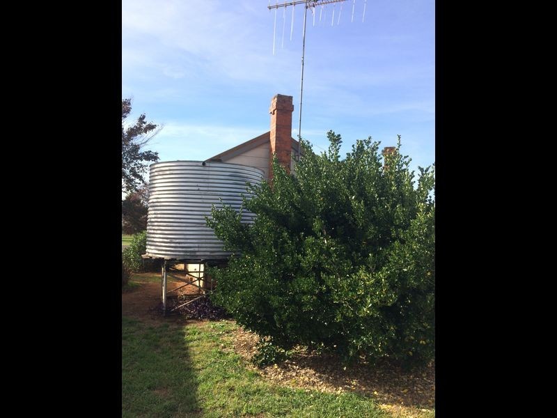 11 Lachlan Street, Yeoval NSW 2868