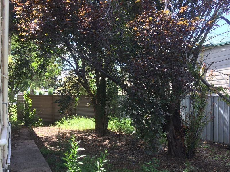 67 Thornton Street, Wellington NSW 2820