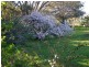 Nanima 7009 Goolma Road, Wellington NSW 2820