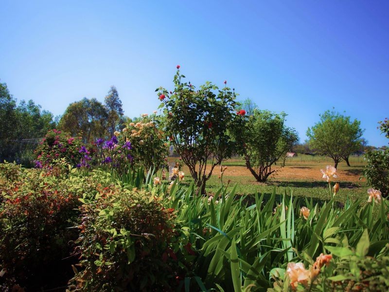 9730 Mitchell Highway, Wellington NSW 2820