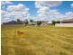 Lot 25 Grevillea Place, Wellington NSW 2820