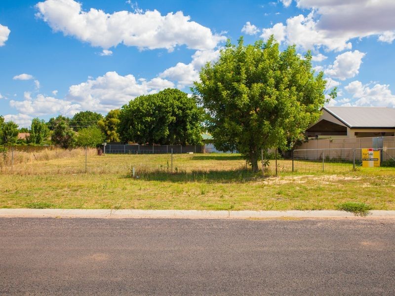 19 Nicholii Street, Wellington NSW 2820