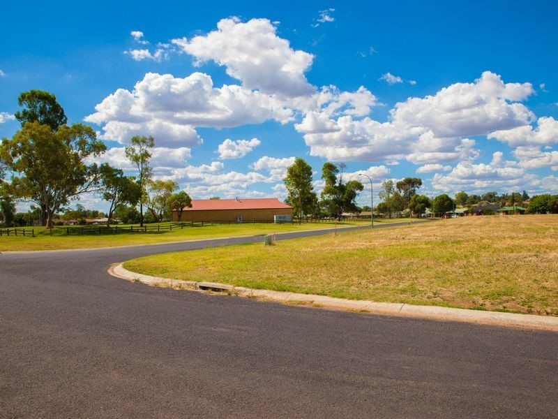 19 Nicholii Street, Wellington NSW 2820