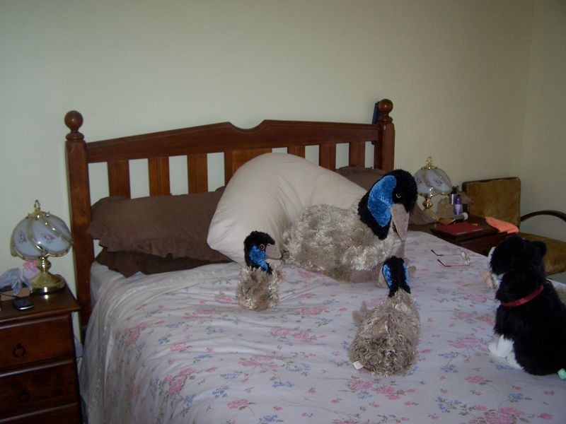 70 Railway Parade, Yeoval NSW 2868