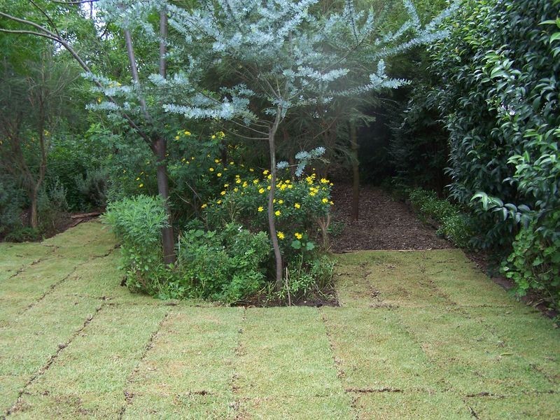 42 Short Street, Wellington NSW 2820