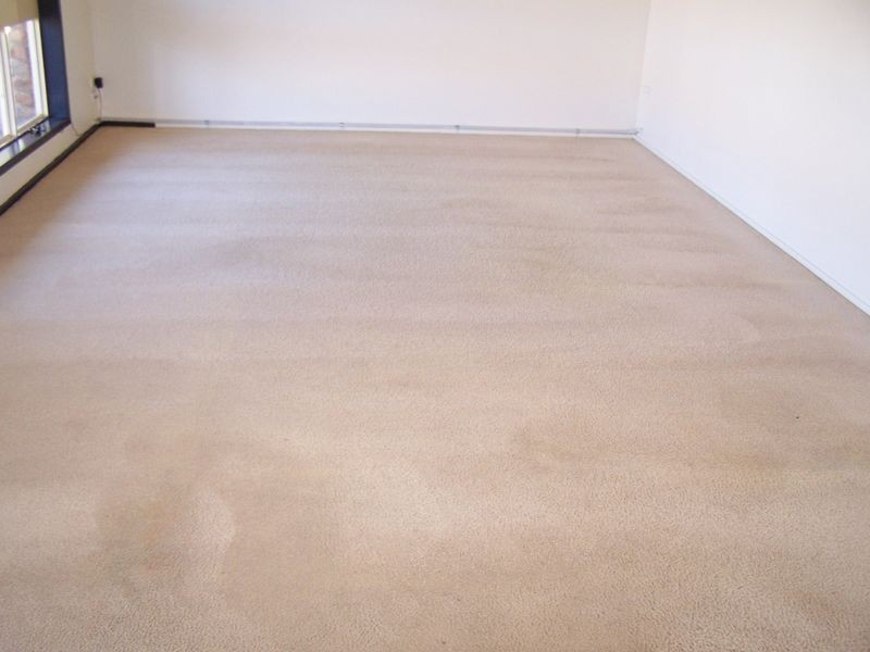 79 Twelve Mile Road, Wellington NSW 2820