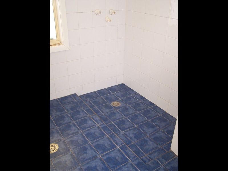 79 Twelve Mile Road, Wellington NSW 2820