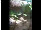 70 Simpson Street, Wellington NSW 2820