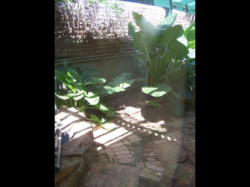 70 Simpson Street, Wellington NSW 2820