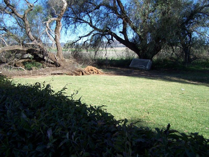 “Bellerive” Ponto Rd, Geurie NSW 2831