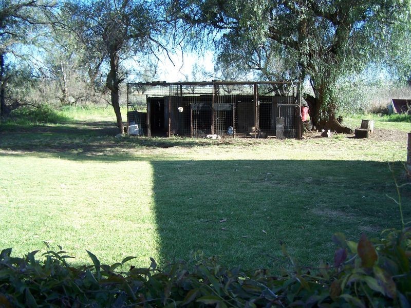 “Bellerive” Ponto Rd, Geurie NSW 2831