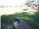 “Bellerive” Ponto Rd, Geurie NSW 2831