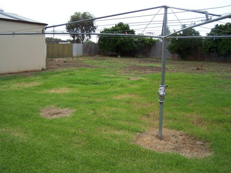 6 Dubbo Road, Wellington NSW 2820