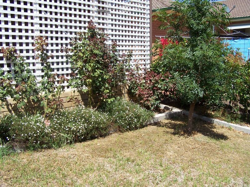 1 Riverview Avenue, Wellington NSW 2820