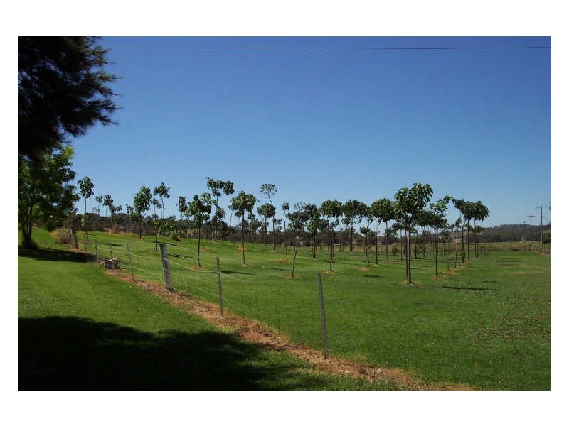 Bellevue Park, Neurea, Wellington NSW 2820