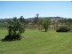 Bellevue Park, Neurea, Wellington NSW 2820
