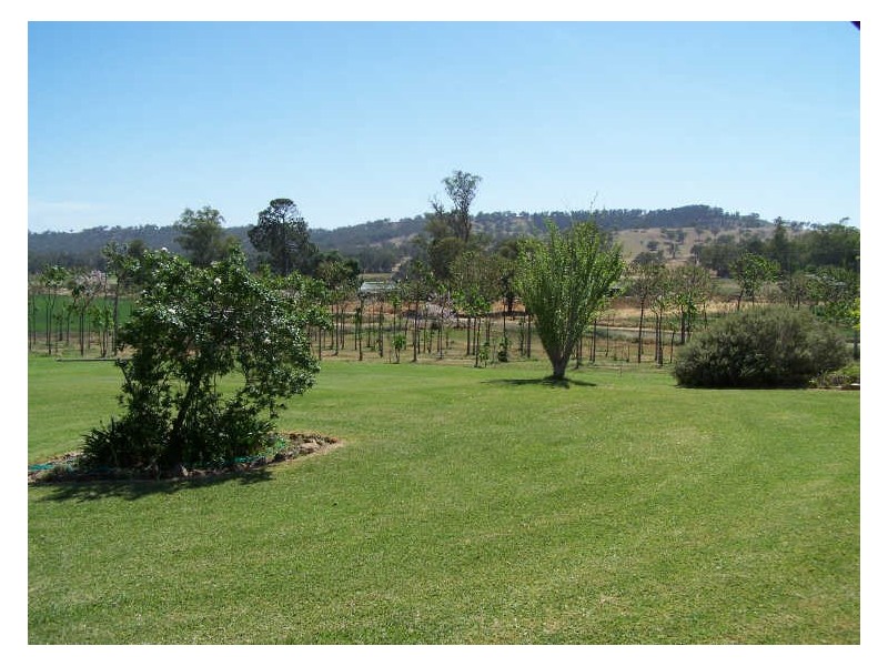 Bellevue Park, Neurea, Wellington NSW 2820