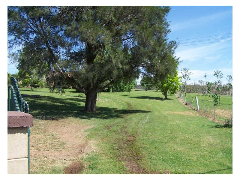 Bellevue Park, Neurea, Wellington NSW 2820