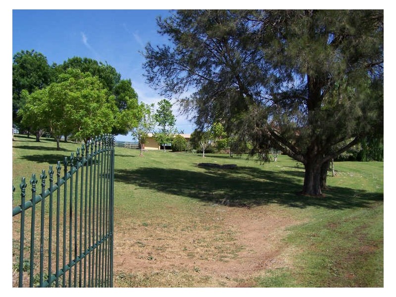 Bellevue Park, Neurea, Wellington NSW 2820