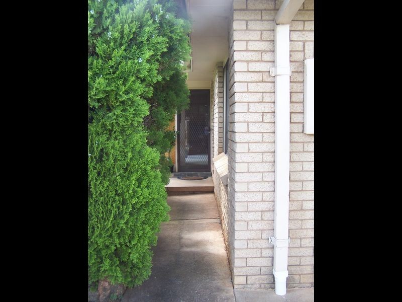 41 Nancarrow Lane, Wellington NSW 2820