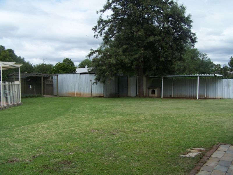 41 Nancarrow Lane, Wellington NSW 2820