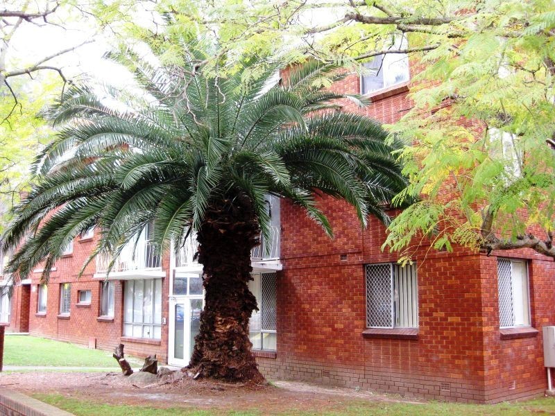 2 Pitt Street, Parramatta NSW 2150