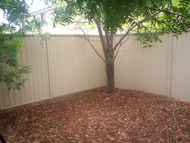 79-81 Amos Street, Westmead NSW 2145