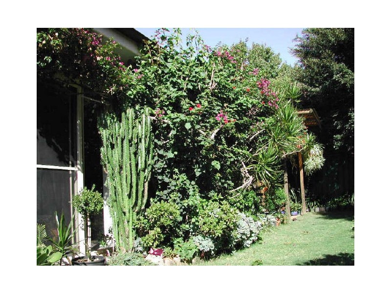 12A Booth St, Westmead NSW 2145