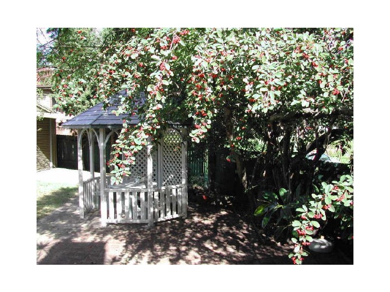 6 Macarthur Crescent, Westmead NSW 2145