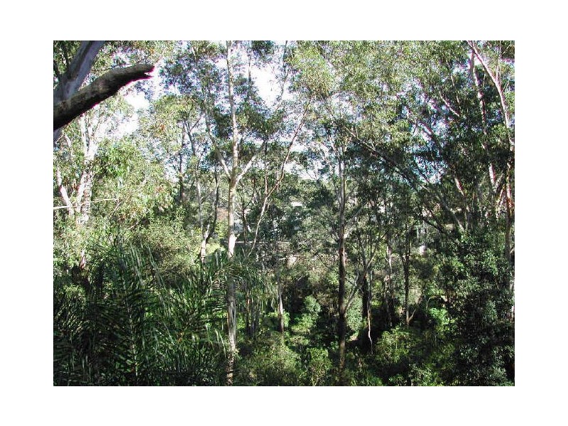 14/133 North Rocks Rd, North Rocks NSW 2151