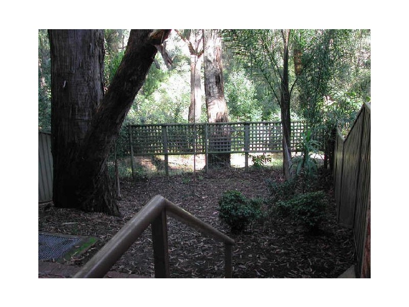 14/133 North Rocks Rd, North Rocks NSW 2151